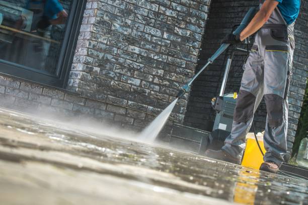 Best Dumpster Area Cleaning  in West Newton, PA